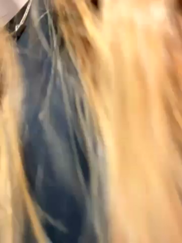 AmmyHot