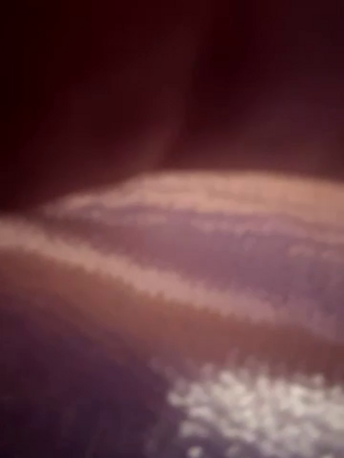 angelitasexy81