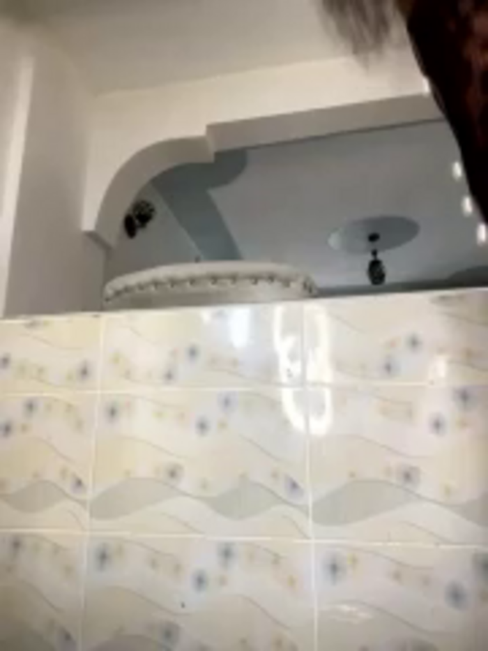 Hyra_Ari