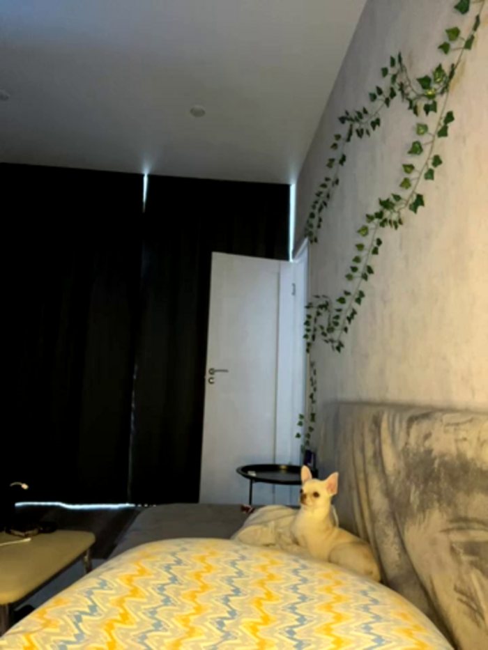 LovelyRachel__