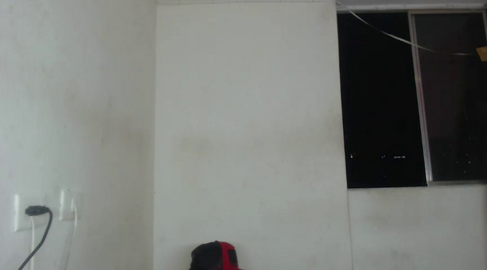 GansterBoys