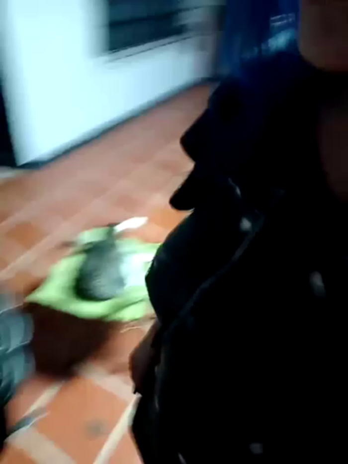 sophie_banger