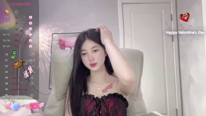 Aami-521