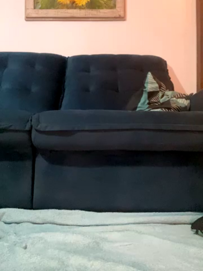 fenixgre