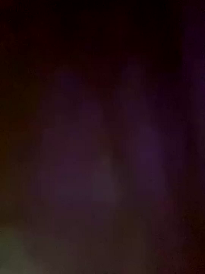 foxy_ana13