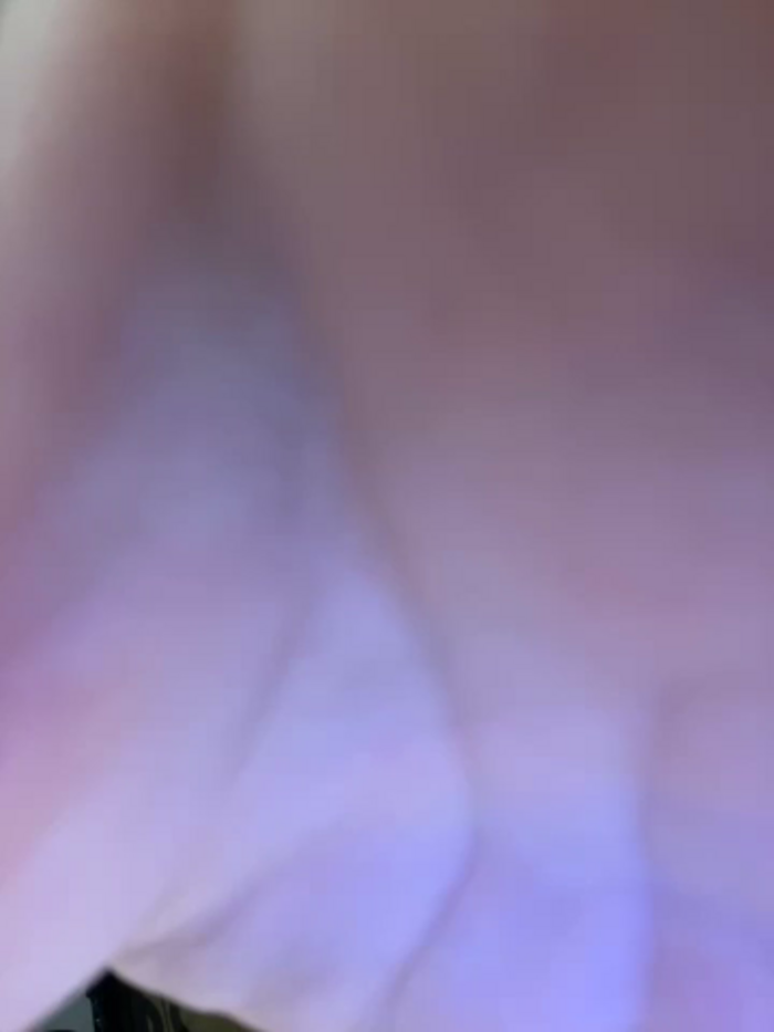 xyebobs
