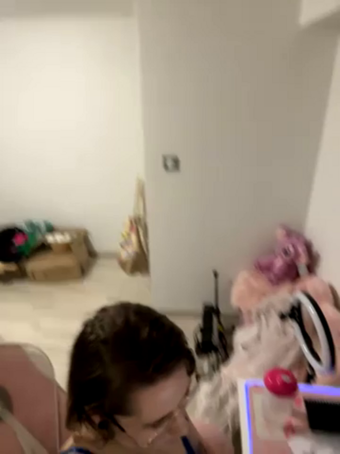 sullye