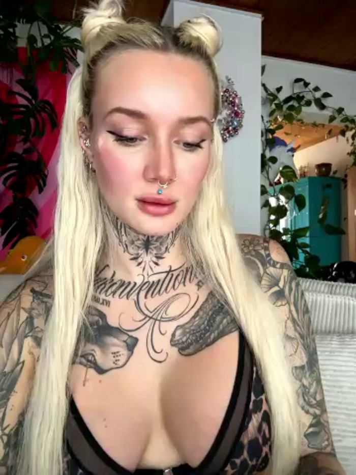Stella-Kink