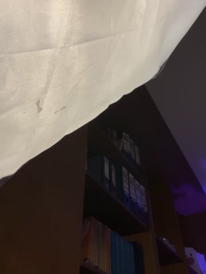 monroe_777
