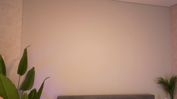 _vixenp