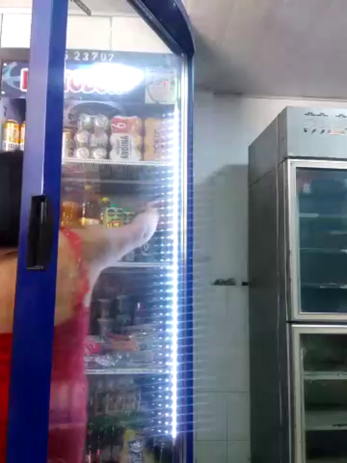 Indira_Nahali1