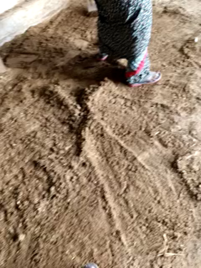 Indiankanak