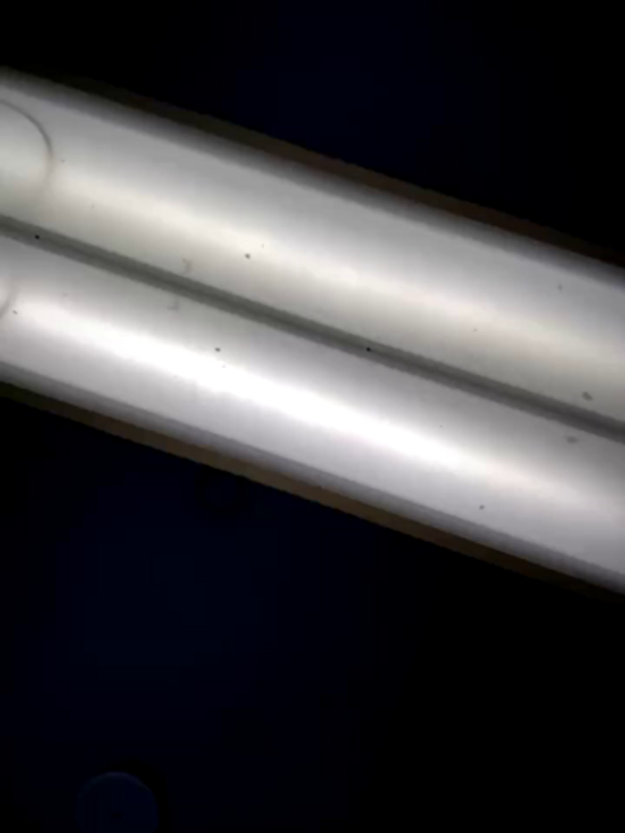 Teya_moon_