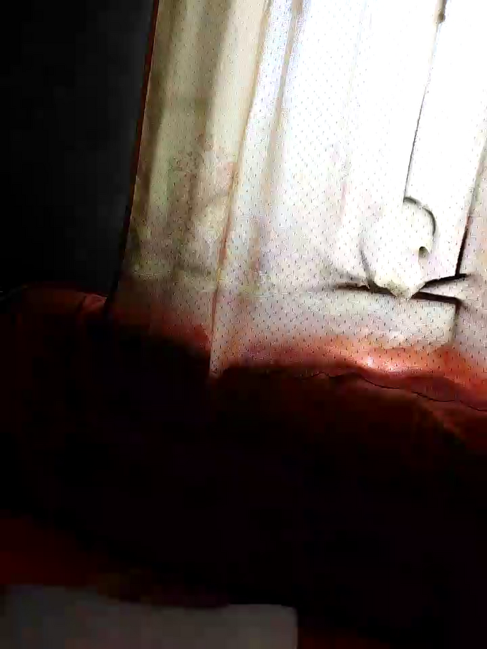 XXX_harna