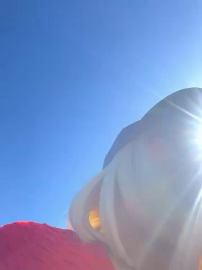 Bigbuttbrooklynn