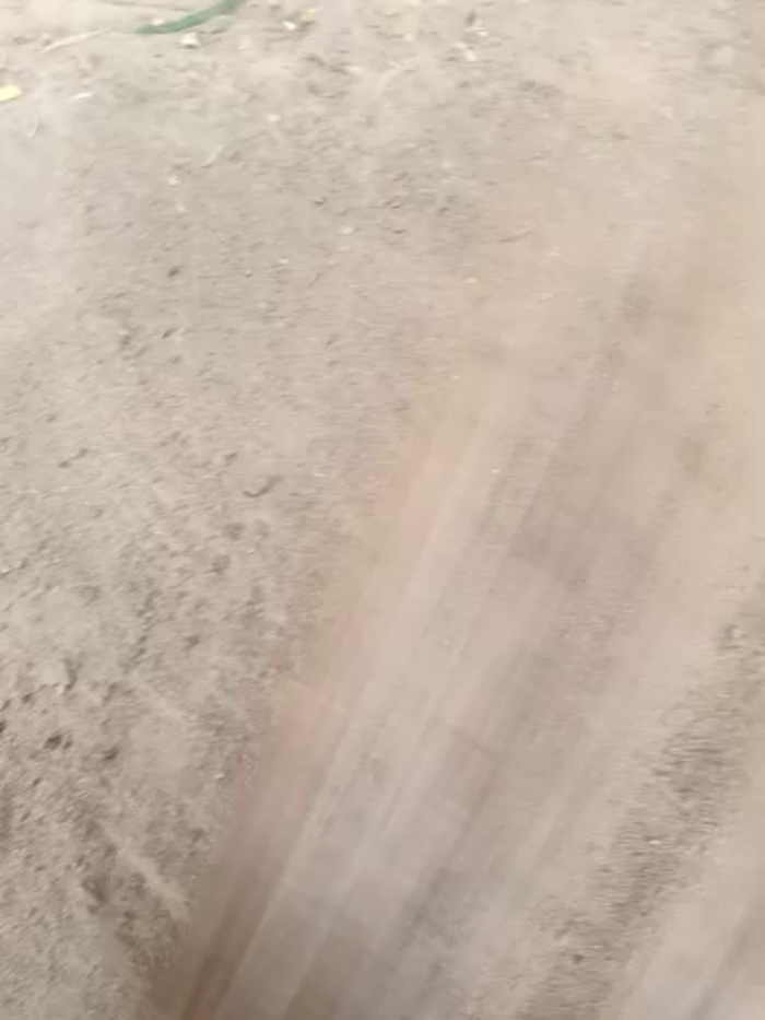 Indiankanak