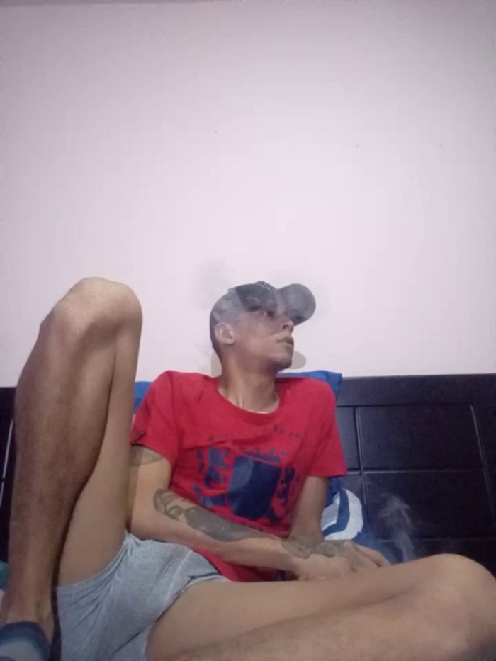 Bartisam