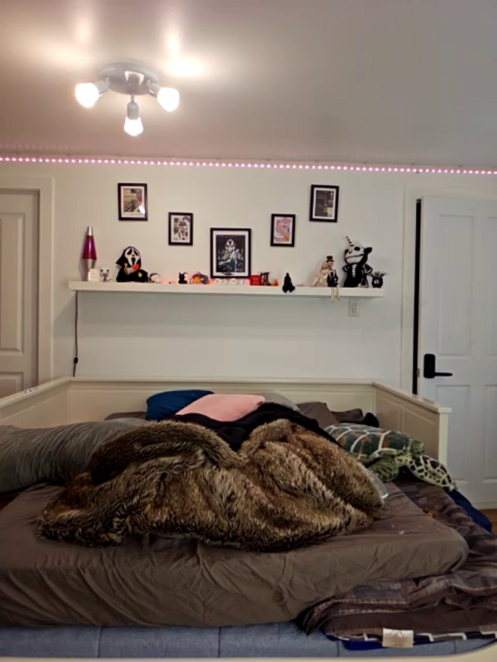 LilyOrion