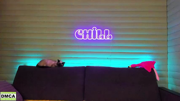 meowluv66