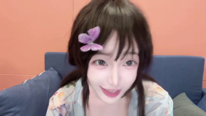 Koala_Cici