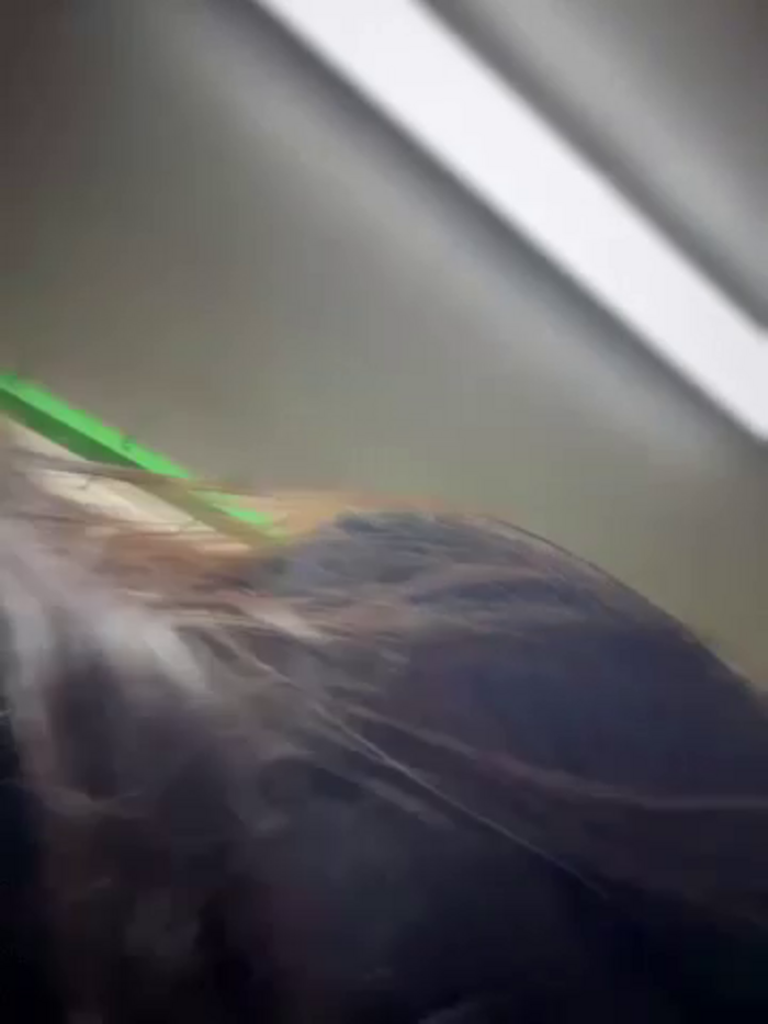 Estefani_R