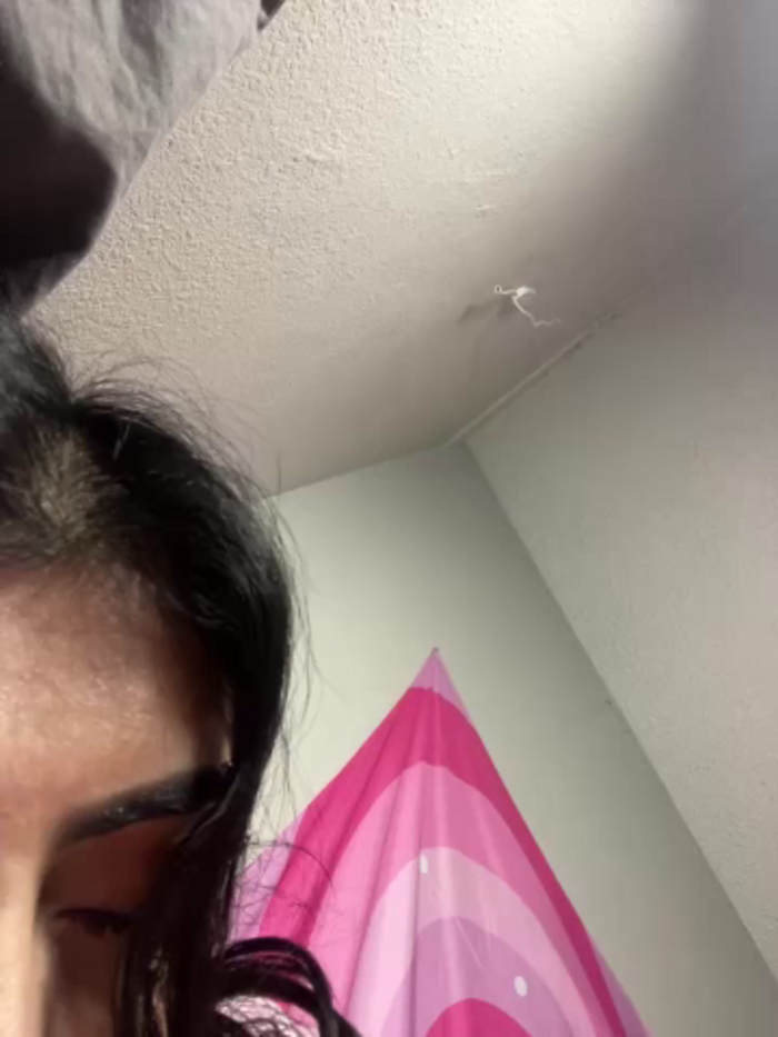 ThickerThanYoBitch