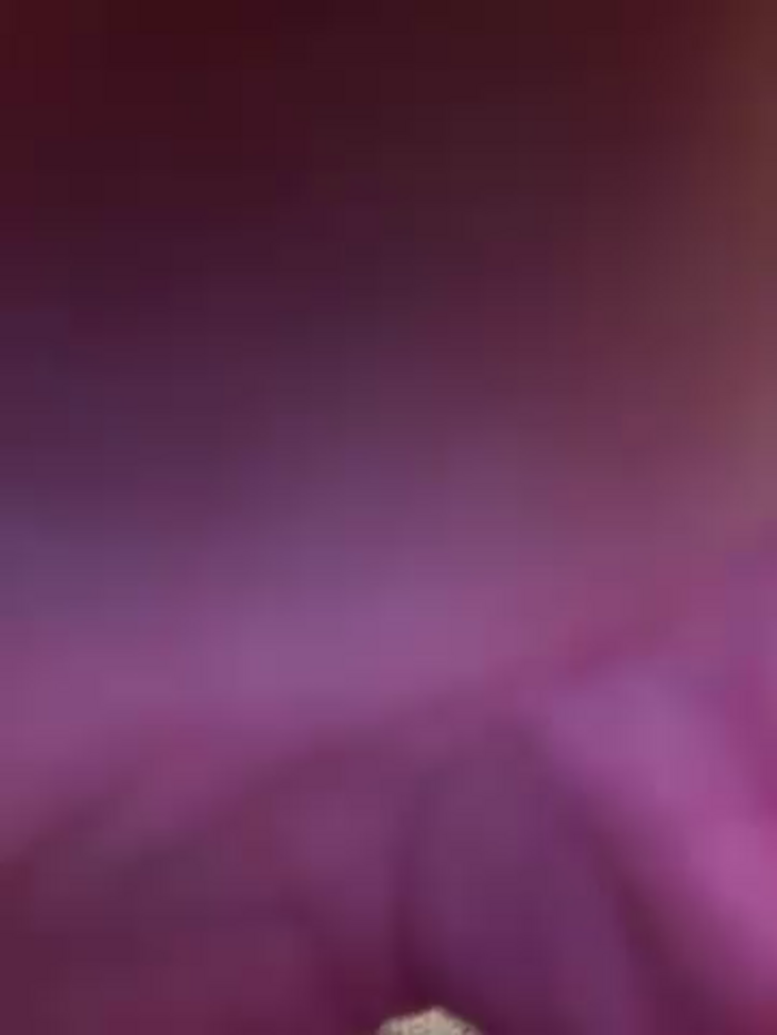 eveangelll