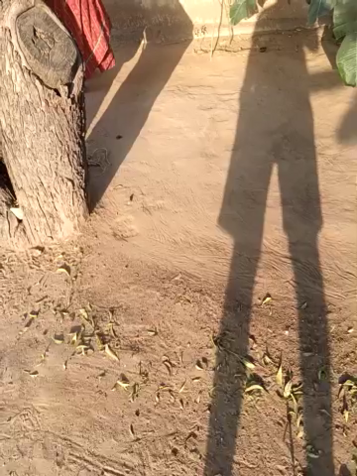 Indiankanak