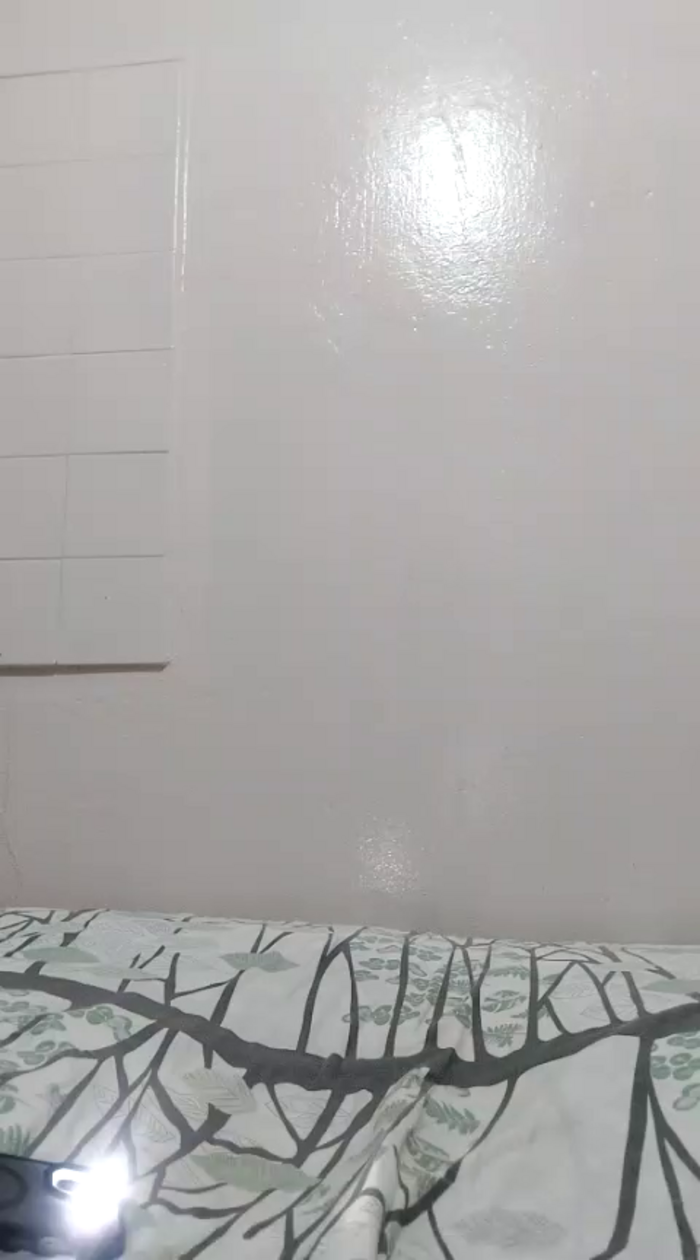 dalo3aa11