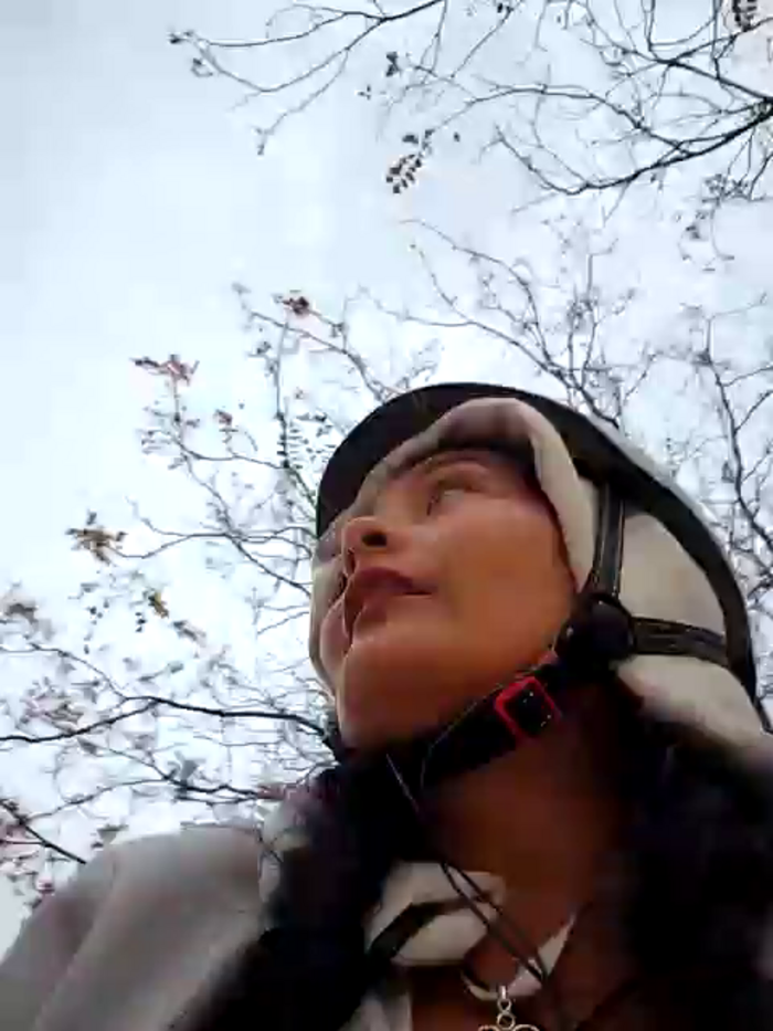 bellapaty