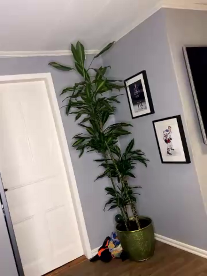 josefine_svensson__02