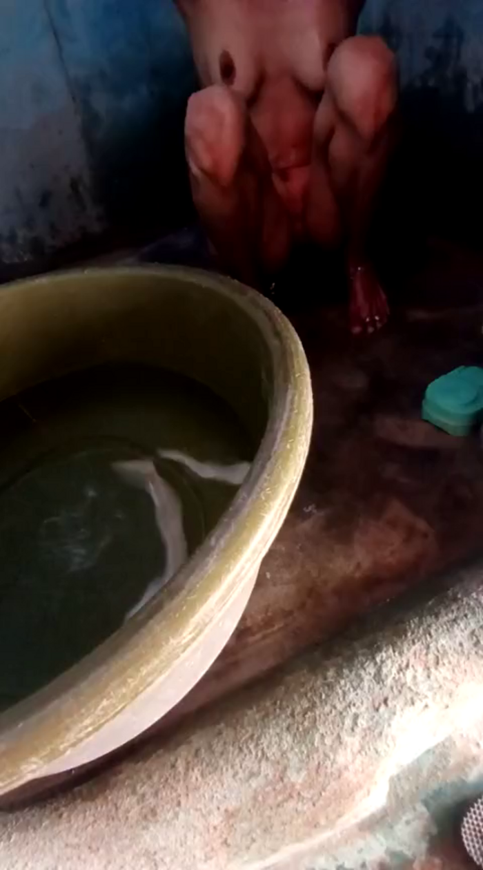 poojaji2024