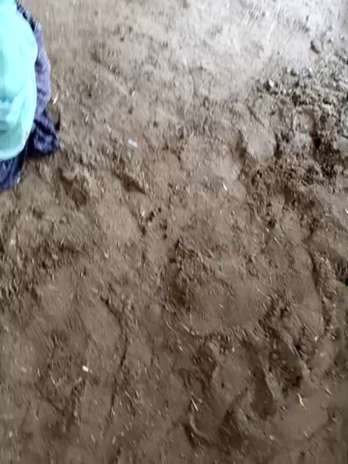 Indiankanak