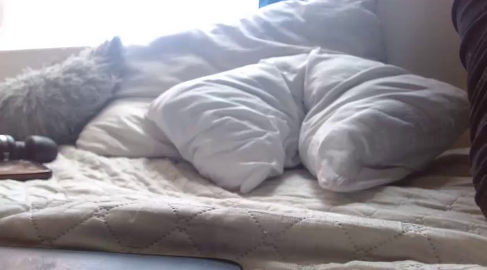 tata_laima__