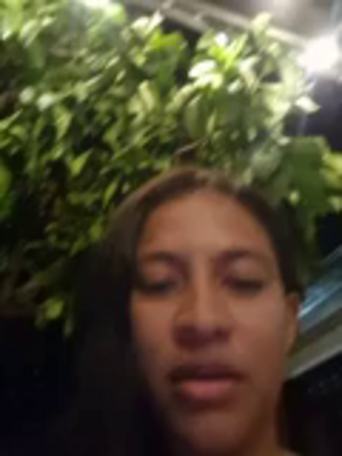 DAELAA