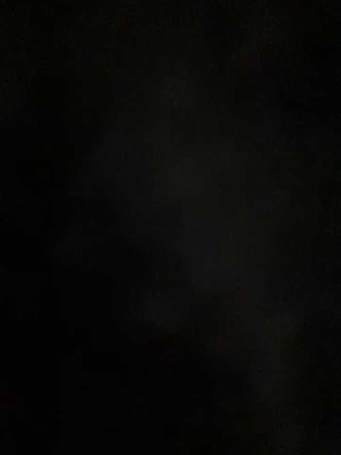 alana15