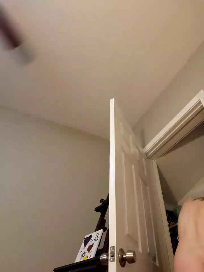 AmethystFoxx