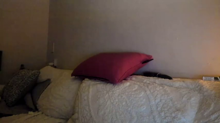 Nina24