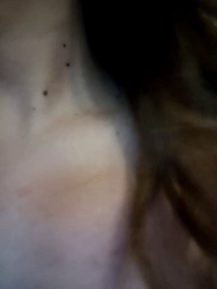 Ory_stev