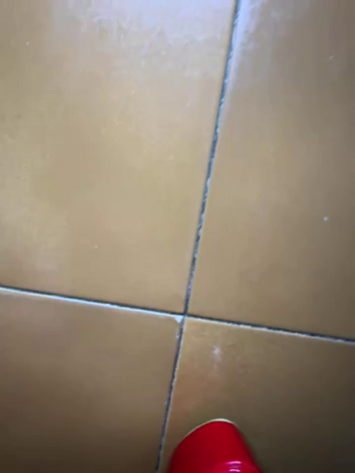 Wet-Pussycat