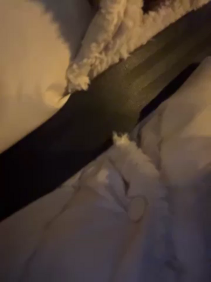 -AngelAri-