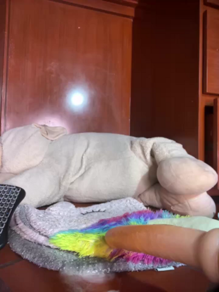 bella-lana2000