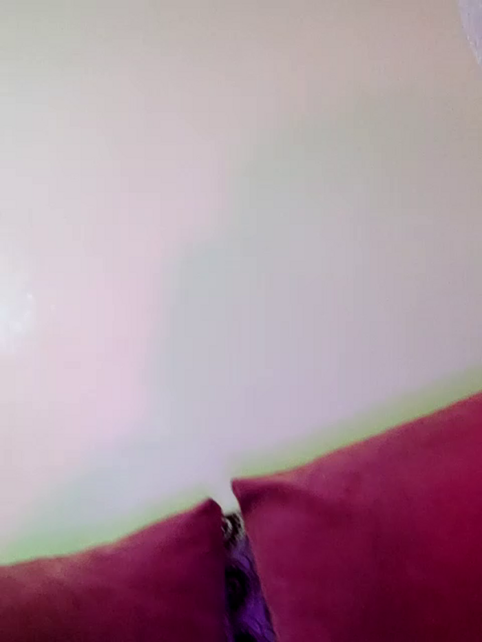 sosoarabe123