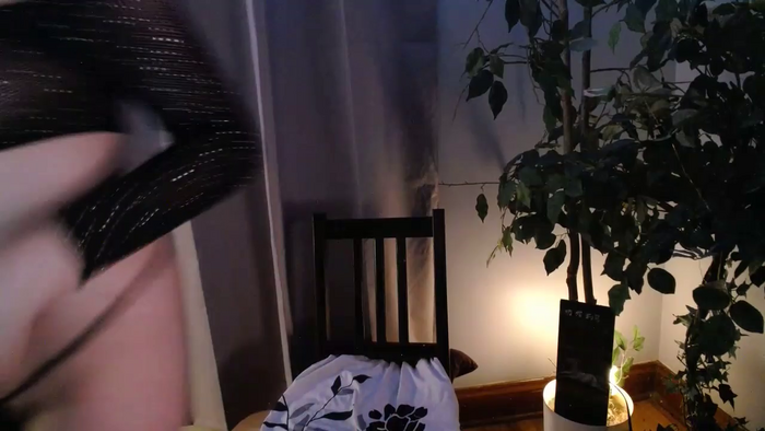CanadianBeaver6969
