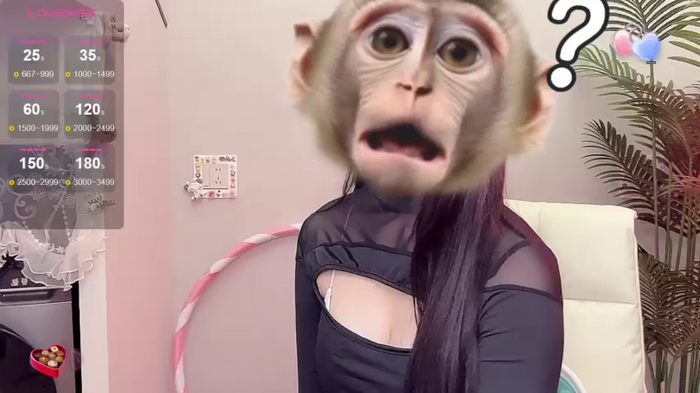 Avicc