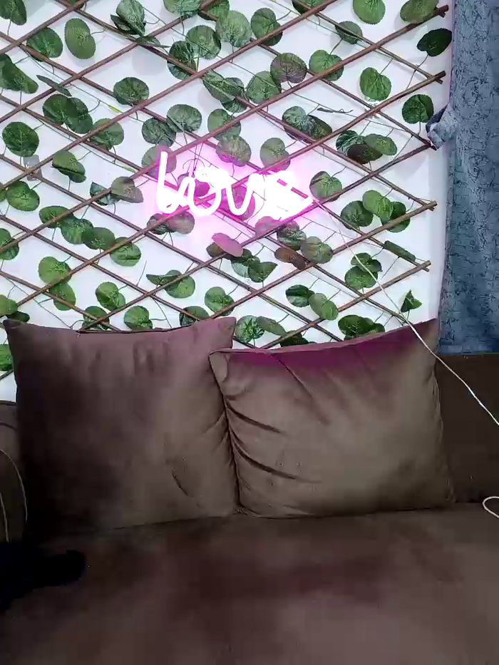 Bold-Cat