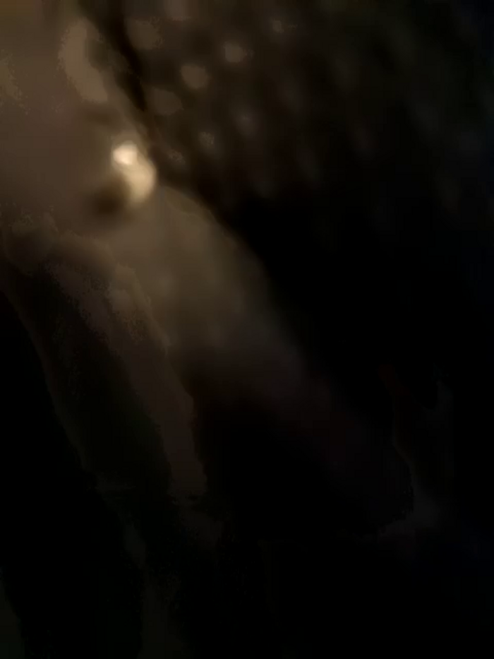 Frost_foxy