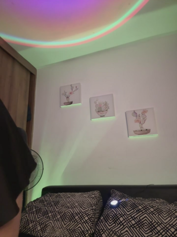 Megan_lu2