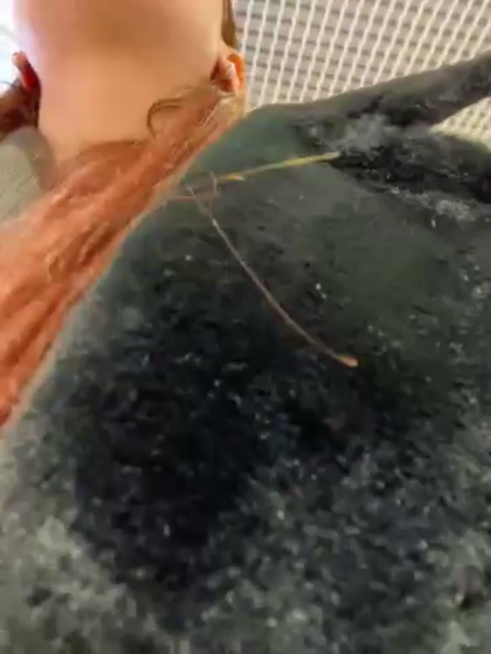 RinaCat