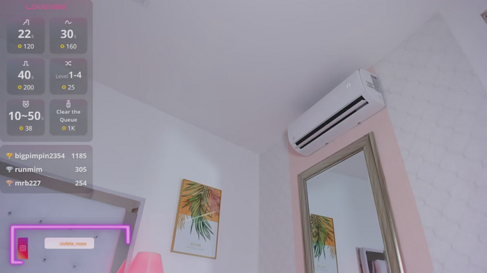 Violeta_rosex